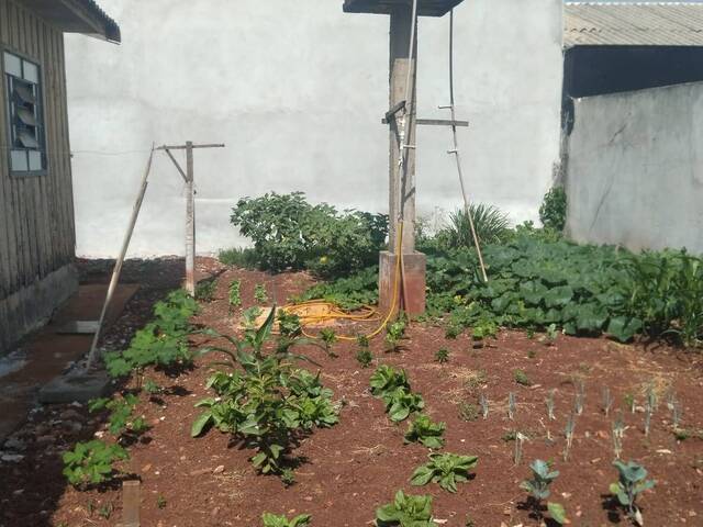 Terreno para Venda em Arapongas - 5
