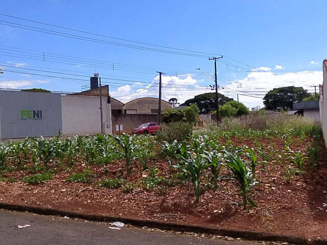 #33 - Terreno para Venda em Arapongas - PR
