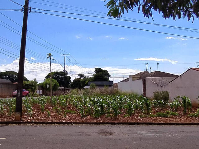 #33 - Terreno para Venda em Arapongas - PR
