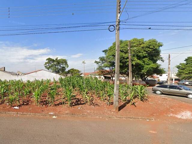 Terreno para Venda em Arapongas - 4