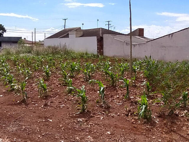 Terreno para Venda em Arapongas - 5