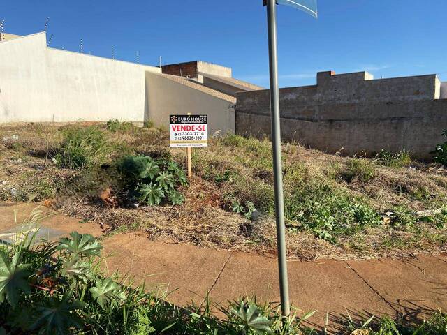 #101 - Terreno para Venda em Arapongas - PR