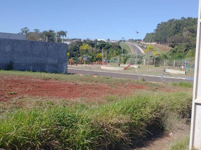 Terreno para Venda em Arapongas - 3