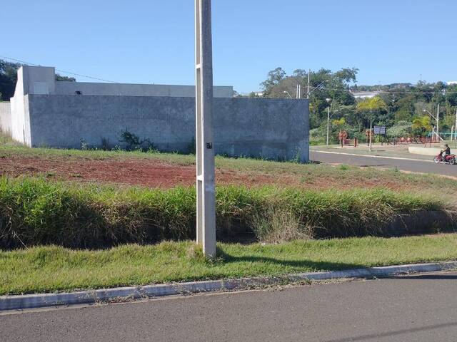 Terreno para Venda em Arapongas - 2