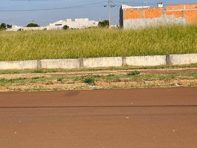 Terreno para Venda em Arapongas - 4