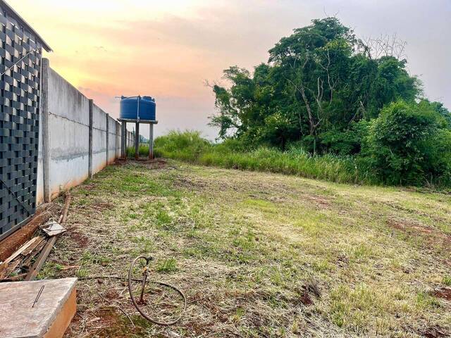 #174 - Chácara para Venda em Arapongas - PR - 2