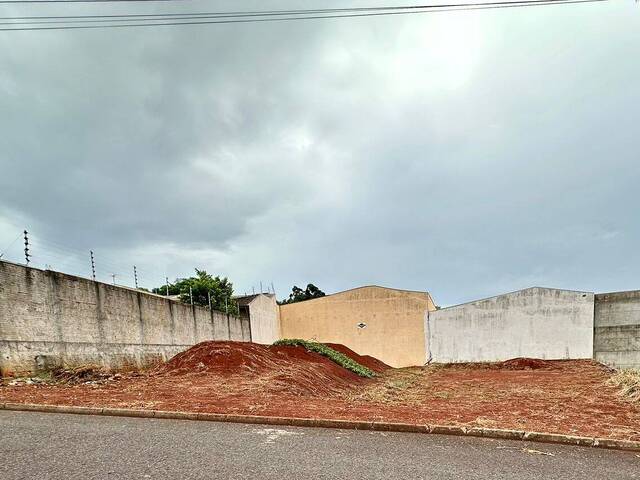 #184 - Terreno para Venda em Arapongas - PR - 1