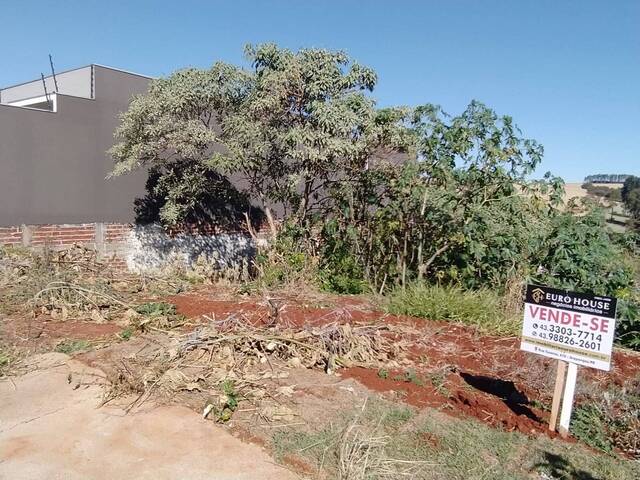 #200 - Terreno para Venda em Arapongas - PR - 1