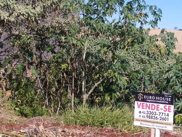 #200 - Terreno para Venda em Arapongas - PR - 3