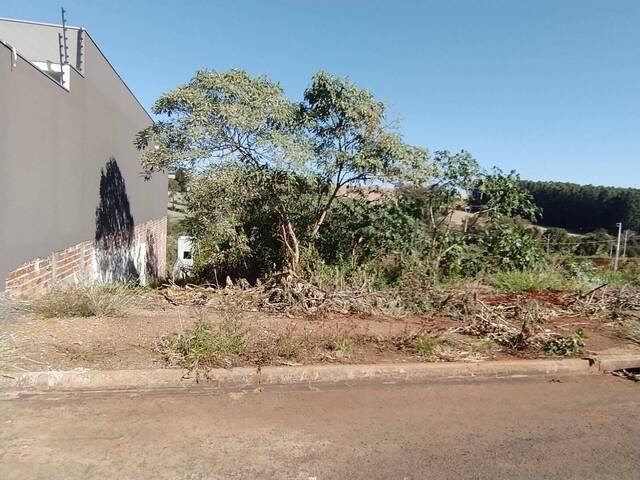 Terreno para Venda em Arapongas - 4