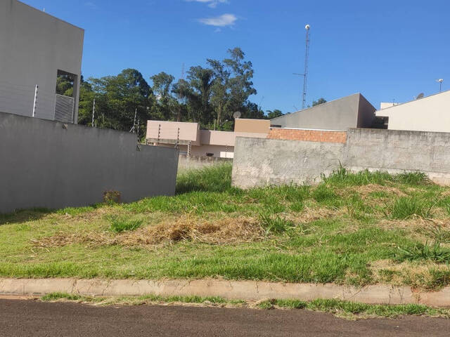 #215 - Terreno para Venda em Arapongas - PR - 1
