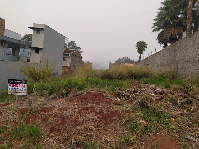 #233 - Terreno para Venda em Arapongas - PR - 1