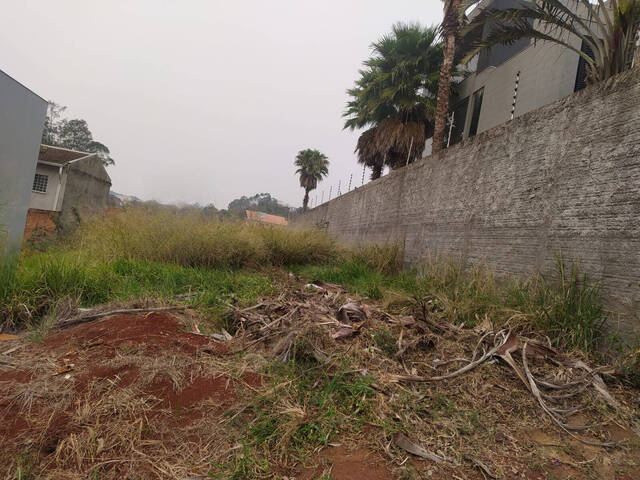 #233 - Terreno para Venda em Arapongas - PR - 2