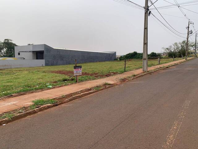 #235 - Terreno para Venda em Arapongas - PR - 2