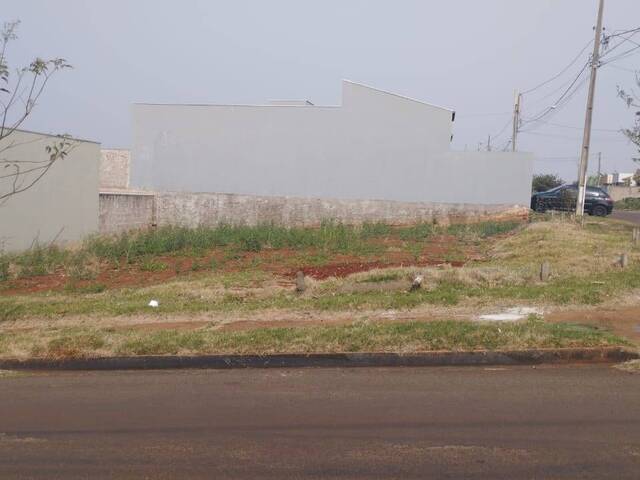 #243 - Terreno para Venda em Arapongas - PR