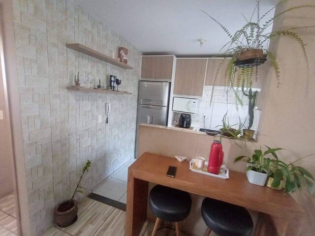 Apartamento para Venda em Arapongas - 5