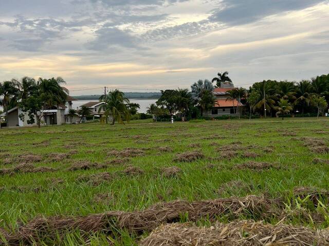 #284 - Terreno em condomínio para Venda em Sertaneja - PR - 3