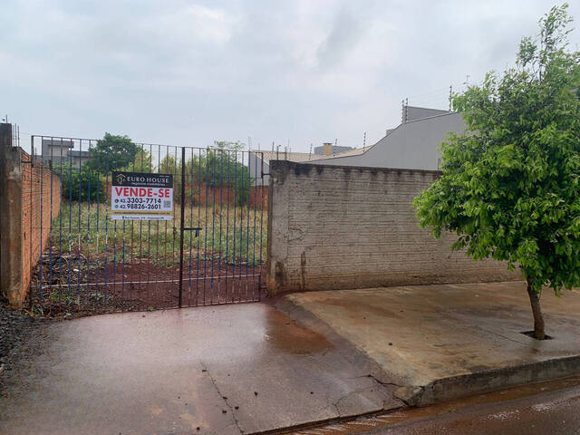 #291 - Terreno para Venda em Arapongas - PR - 1
