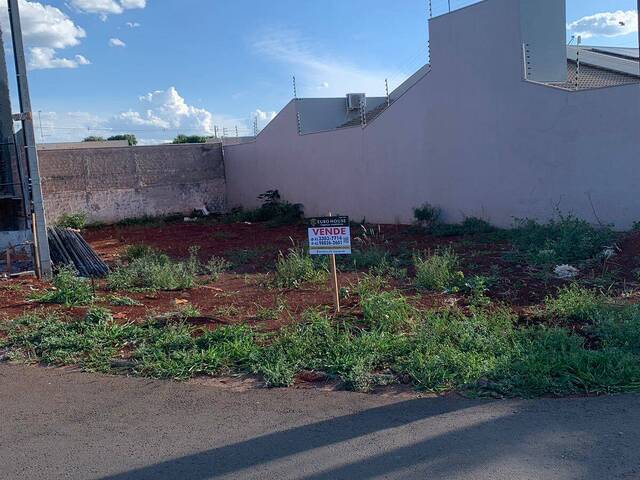 #319 - Terreno para Venda em Arapongas - PR - 1