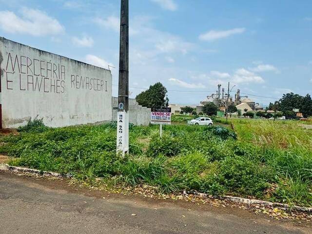 #321 - Terreno para Venda em Sabáudia - PR - 2