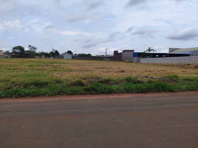 #323 - Terreno para Venda em Sabáudia - PR - 3