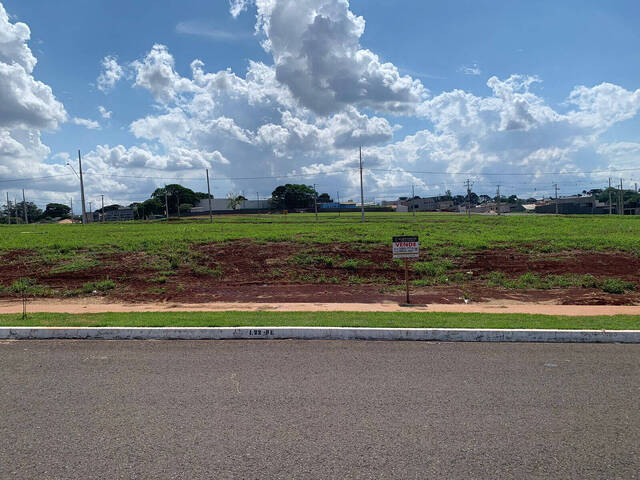 #347 - Terreno para Venda em Arapongas - PR - 3