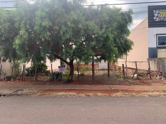 #353 - Terreno para Venda em Arapongas - PR - 3