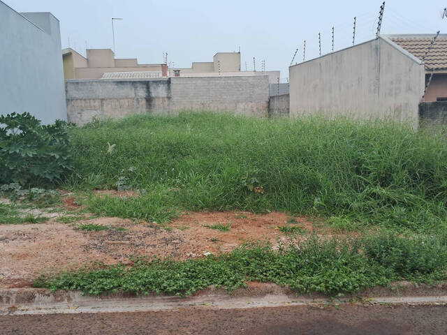 #372 - Terreno para Venda em Arapongas - PR - 1