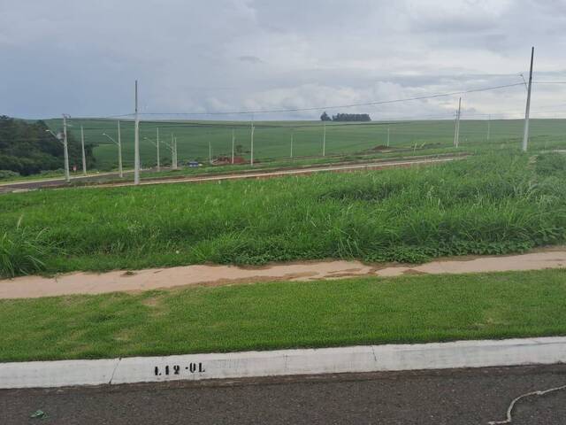 #400 - Terreno para Venda em Arapongas - PR - 1