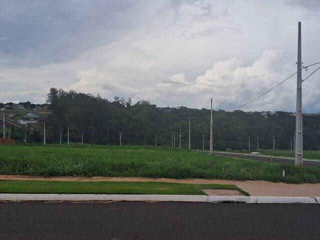 #402 - Terreno para Venda em Arapongas - PR - 1