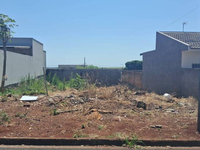 #439 - Terreno para Venda em Arapongas - PR