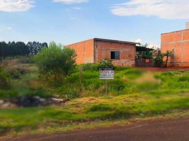 #462 - Terreno para Venda em Arapongas - PR