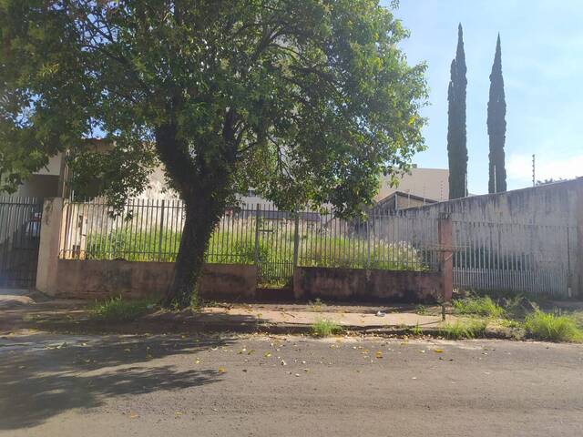 #504 - Terreno para Venda em Arapongas - PR - 1