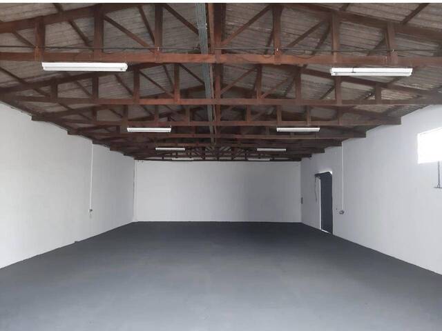 #531 - Sala para Locação em Arapongas - PR - 3