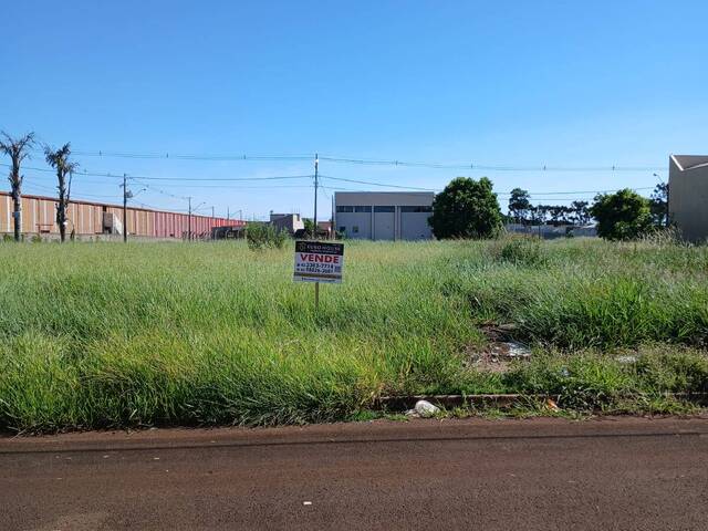 #589 - Terreno para Venda em Arapongas - PR - 1