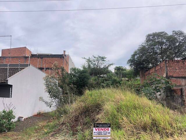 #604 - Área para Venda em Arapongas - PR - 1