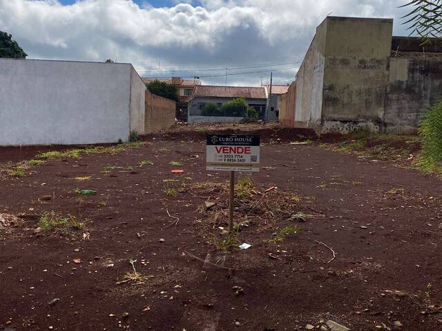 Área para Venda em Arapongas - 4