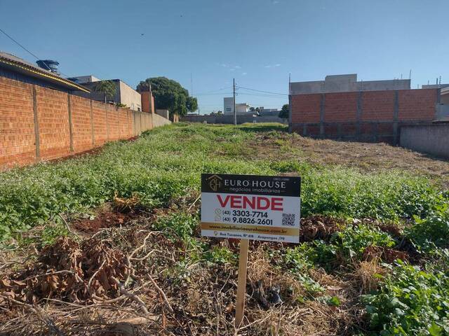 #637 - Área para Venda em Arapongas - PR - 1