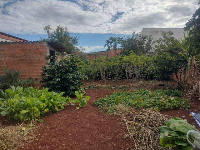 #638 - Área para Venda em Arapongas - PR - 1