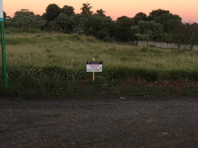 #650 - Chácara para Venda em Arapongas - PR - 1