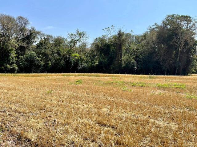 #672 - Casa para Venda em Arapongas - PR - 1