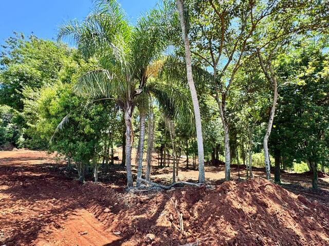 #676 - Terreno para Venda em Arapongas - PR - 2