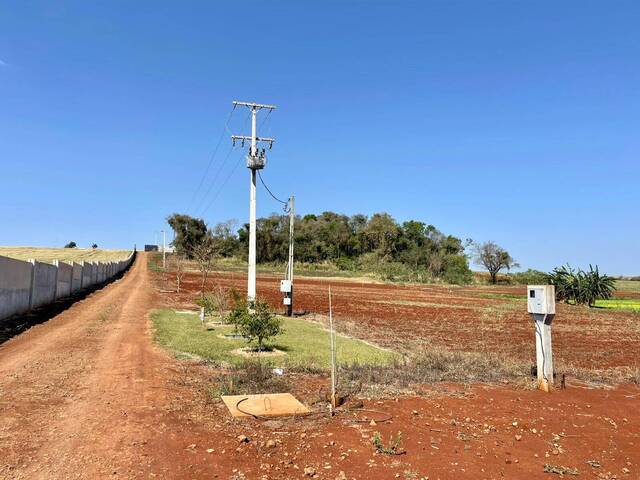#751 - Terreno para Venda em Arapongas - PR - 3
