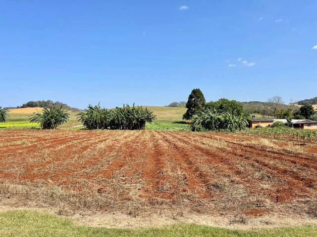 Terreno para Venda em Arapongas - 5