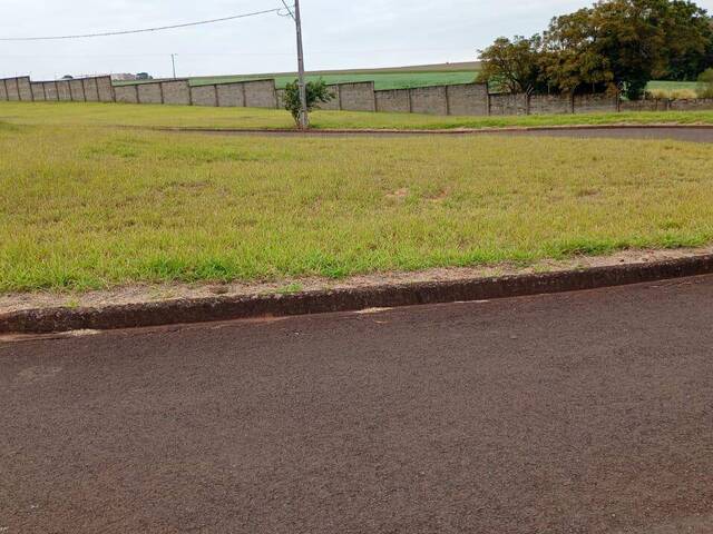 Terreno para Venda em Arapongas - 4