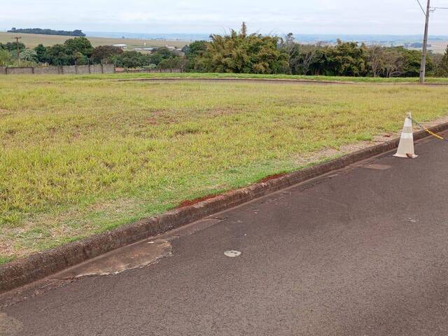 #762 - Terreno para Venda em Arapongas - PR - 3