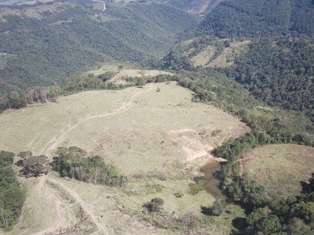 #814 - Fazenda para Venda em Cândido de Abreu - PR - 1