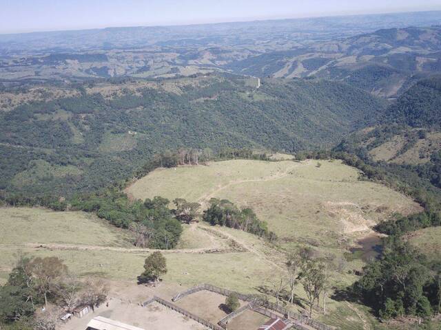#814 - Fazenda para Venda em Cândido de Abreu - PR - 3