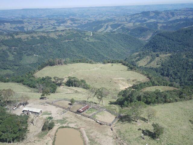 Fazenda para Venda em Cândido de Abreu - 5