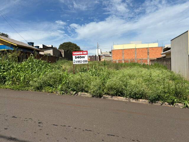 #834 - Terreno para Venda em Arapongas - PR - 1